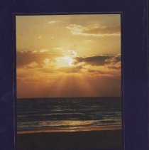 Choices 2000 Senator